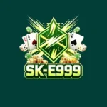 SK E999 Game